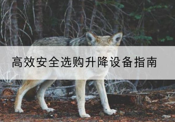 同德升降货梯厂家推荐-*安全选购升降设备指南