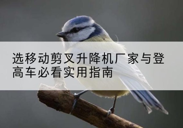 同德电动升降机厂家-选移动剪叉升降机厂家与登高车必看实用指南