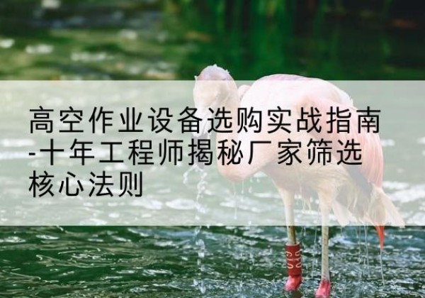 同德剪叉式升降机厂家-高空作业设备选购实战指南-十年工程师揭秘厂家筛选核心法则